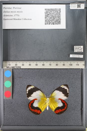 Media type: image;   Entomology 140007